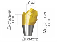 Винтовой угловой абатмент без шестигранника, диаметр 4.5 мм, Dentium (Ю.Корея) ASA45302018N