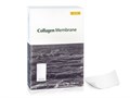 Резорбируемая мембрана Collagen Membrane, Genoss (Ю.Корея) GCM1020 - фото 5082